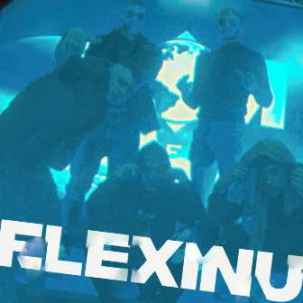 Flexinu by Bienis