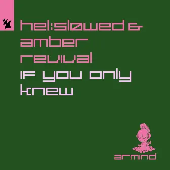 If You Only Knew by Amber Revival