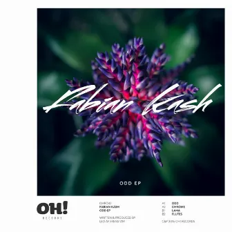 Odd EP by Fabian Kash