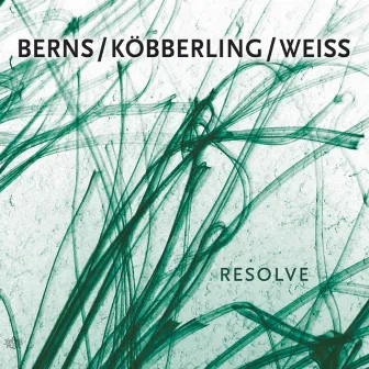 Resolve by Berns