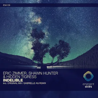 Indelible by Shawn Hunter