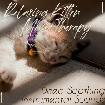 Relaxing Kitten Music Therapy: Deep Soothing Instrumental Sounds by Cat Music Therapy