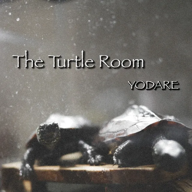 The Turtle Room