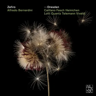 Dresden by Ensemble Zefiro