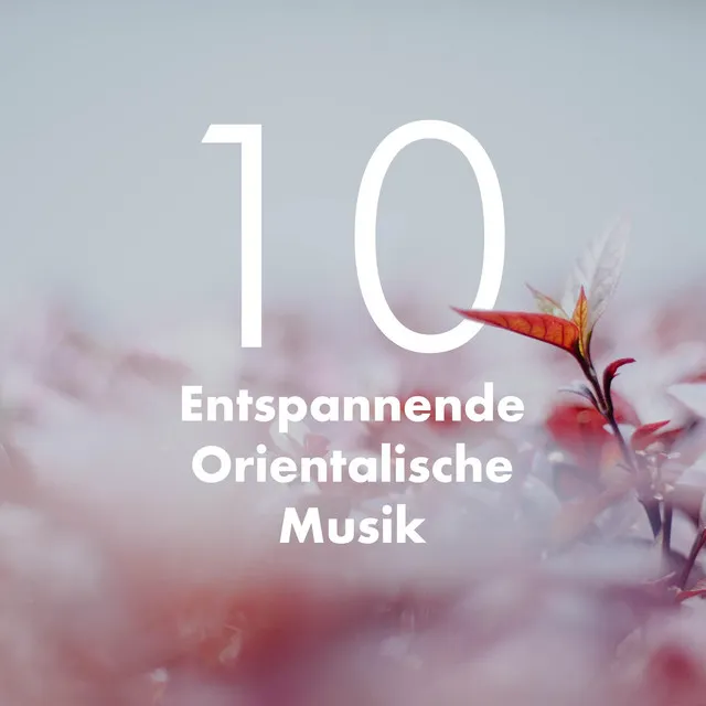 10 Entspannende Orientalische Musik