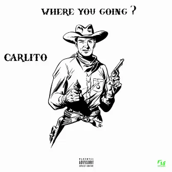 Where You Going by Carlito'