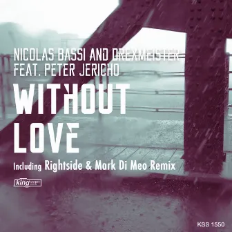 Without Love by Peter Jericho