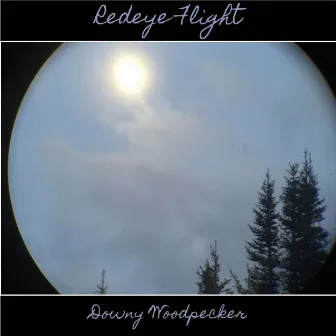 Redeye Flight (Demos) by Downy Woodpecker