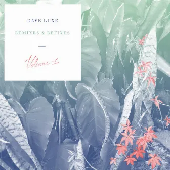 Remixes & Refixes Volume 1 by Dave Luxe