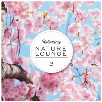 Relaxing Nature Lounge, Vol. 3 by Reginaldo Frazatto Jr.