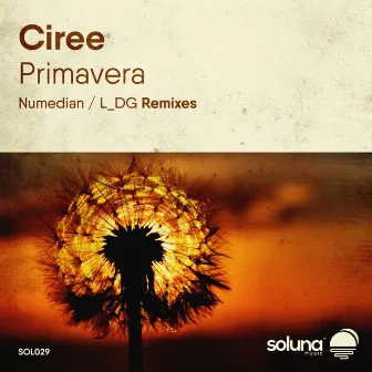 Primavera by Ciree