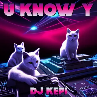 U Know Y by DJ KEPI