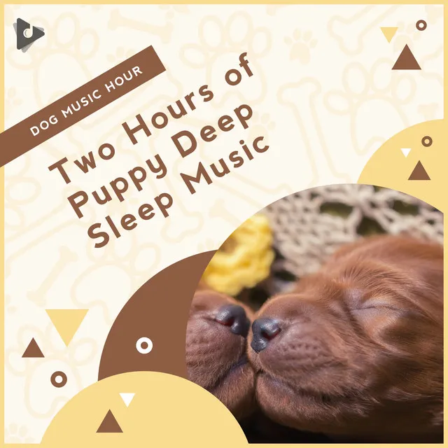 Peaceful Music for Dogs