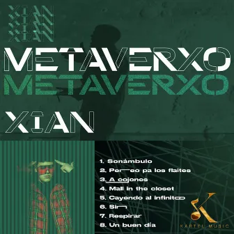 MetaVerxo by Xian