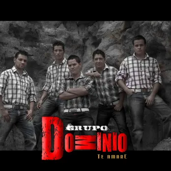 Te Amaré by Grupo Dominio