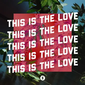 This Is The Love by Switch