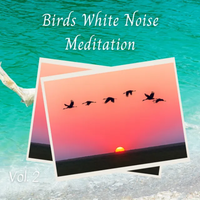 Birds White Noise Meditation Vol. 2