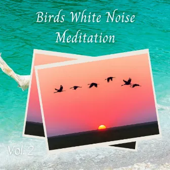 Birds White Noise Meditation Vol. 2 by Native American Flute Music