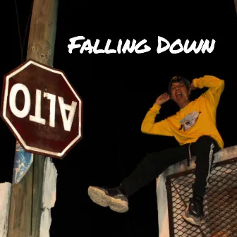 Falling Down by James Arrona