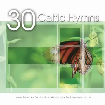 30 Celtic Hymns by Steve Ivey