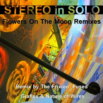 Flowers on the Moon Remixes by Stereo In Solo