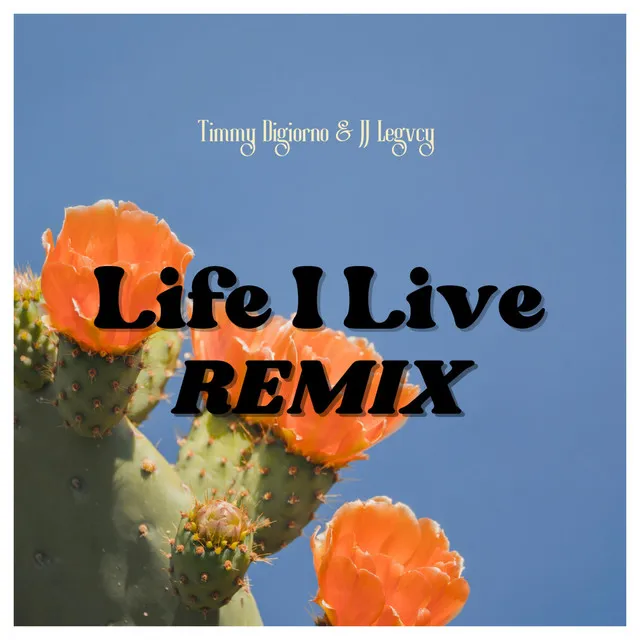 Life I Live - Remix