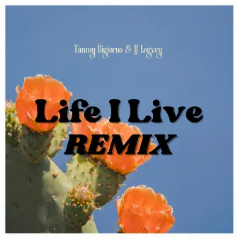 Life I Live (Remix) by Timmy Digiorno