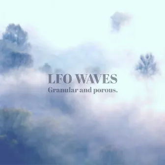 Granular and Porous. by LFO Waves