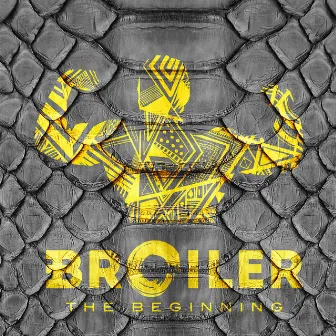 The Beginning by Broiler