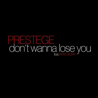 Don't Wanna Lose You by Prestege