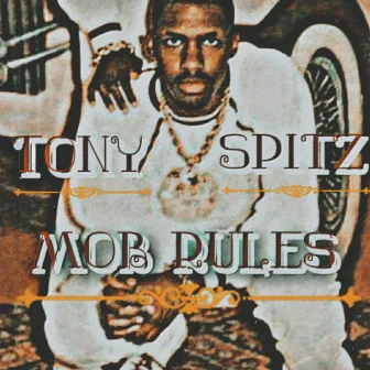 Mob Rules by Tony Spitz