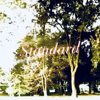 standard by oscarprvd.