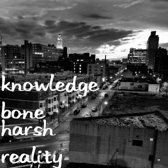 Harsh Reality by Knowledge Bone