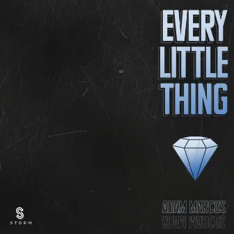 Every Little Thing by Adam Marcos