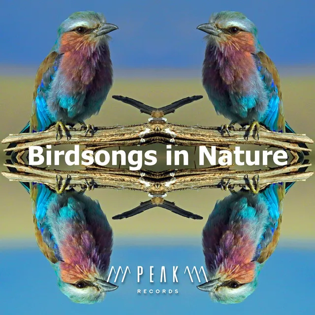 Birdsongs in Nature