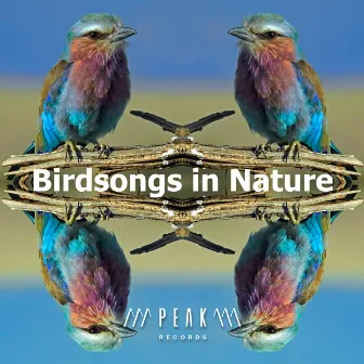 Birdsongs in Nature by Singing Birds of Poland