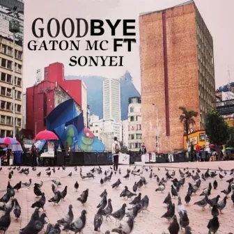 Good Bye by Gaton Mc