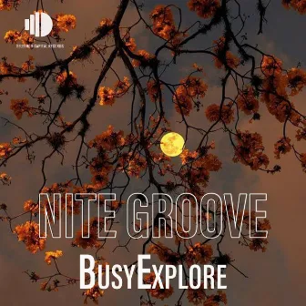 Nite Groove by BusyExplore