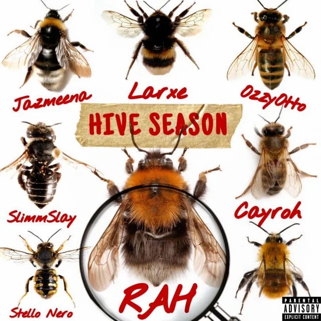 Hive Season