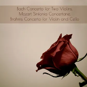 Bach Concerto for Two Violins, Mozart Sinfonia Concertane, Brahms Concerto for Violin and Cello by 