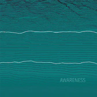 Awareness by Palle Mikkelborg