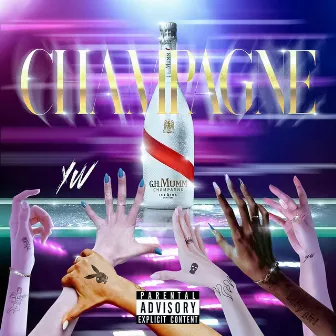 Champagne by YW