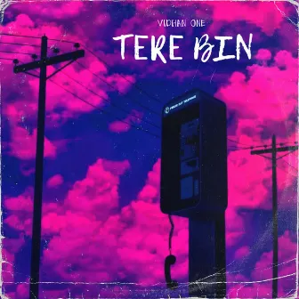 Tere Bin by Vidhan One