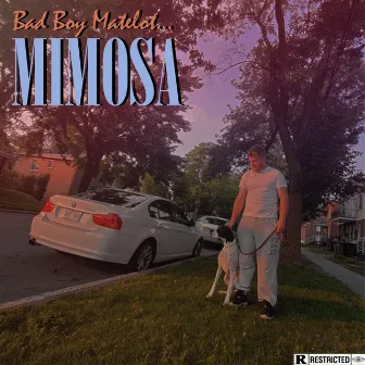 Mimosa by Bad Boy Matelot