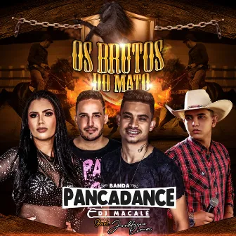 Os Brutos do Mato by Banda Pancadance