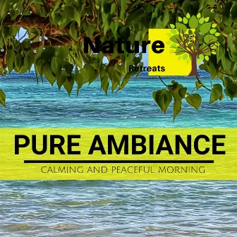 Pure Ambiance - Calming and Peaceful Morning by Zen Healing Melodies