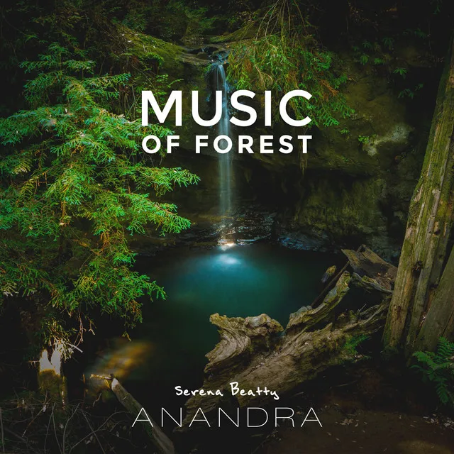 Music of Forest