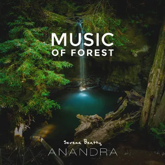 Music of Forest by Serena Beatty