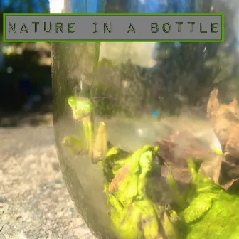 Nature In A Bottle by Toine