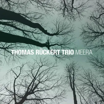 Meera by Thomas Rückert Trio